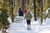 Snowshoeing In Vancouver's Winter Wonderland