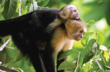 Manuel Antonio National Park Hiking Guided Tour