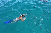 Luxury Snorkel Tour in Sailing Catamaran