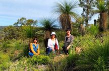 Spring Wildflower Private Day Tours