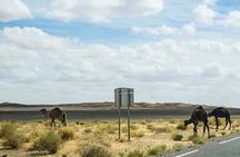 Morocco Tour 11 Days from Tangier