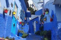 12 Days from Casablanca