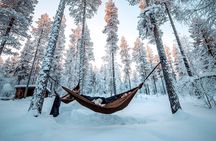 Cocooning in the HaliPuu forest: The ultimate Arctic hammock relaxation
