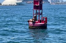 Long Beach Glass Bottom Boat Eco-Tour