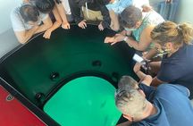 Long Beach Glass Bottom Boat Eco-Tour