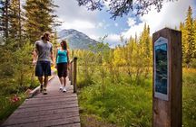 The BANFF NATURE Walk - 2hr Adventure