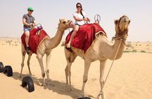 Dubai Red Dune Safari with BBQ Dinner and Live Shows