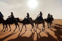 Morocco tour start from Casablanca 8 days 