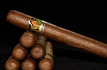 Cigar & Rum Tasting Experience (2 in 1 tour)