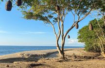 Hike and Yoga Jungle Experience
