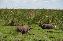 5 Days Group Camping Safari 