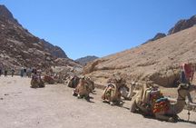 St Catherine Monastery Small Group Tour from Dahab