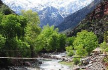  Private Day trip to ourika valley atlas mountains from marrakech 