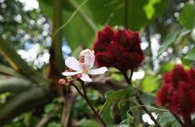 3inONE, Private Spice, Stone Town & Prison Island Tours