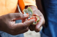 3inONE, Private Spice, Stone Town & Prison Island Tours