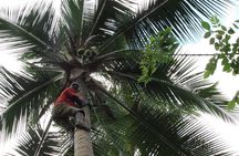 3inONE, Private Spice, Stone Town & Prison Island Tours