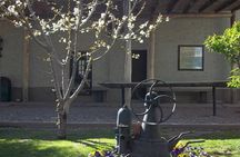 Wine Tour with Lunch and Transport in Mendoza