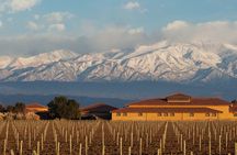 Wine Tour with Lunch and Transport in Mendoza