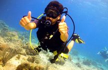 Discover Diving in Curaçao with Transportation Included