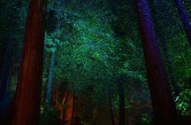 Shuttle Bus to Magic of Christmas at The Butchart Gardens