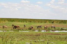 4 Days Group Camping Safari