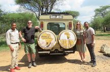 4 Days Tanzania Group Joining Safari with Mid-range Accommodation