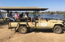 Rhino Game Drive