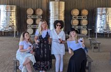 Premium Valle de Guadalupe Wine and Food Tour 