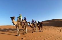 Marrakech to Merzouga Desert 3-Day via the High Atlas Mountains