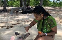 Private GroupTour Pigs/Turtles/Snorkeling/Lunch/Pickup/Dropoff