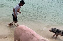 Private GroupTour Pigs/Turtles/Snorkeling/Lunch/Pickup/Dropoff
