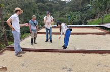 Cali: Coffee Tour - Discover the secrets of 100% Colombian coffee