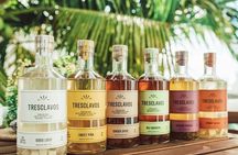 Rum Trails a Shared Tasting Experience