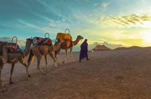  Agafay Desert-And Atlas Mountains & Camel-Trek-Day Trip From Marrakech
