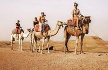  Agafay Desert & Sunset Camel Ride From Marrakech