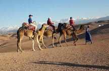  Agafay Desert & Sunset Camel Ride From Marrakech
