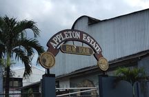 Appleton Rum Tour and Floyd’s Pelican Bar from Montego Bay Hotels and Villas