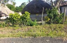 Kula Eco Bird Park ,Momi Gun Site And Market Tour Ex Marriott and Denarau resort