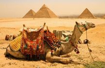Exclusive VIP Giza pyramids tour,ATV, Camel ,Horse jumping&Lunch