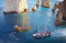Cabo San Lucas Whale Watching Tour All Included