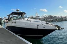 Miami Private Yacht Rental 2 to 4 hours for 12 ppl, Champagne