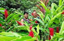Half-Day Guided Hike to Afareaitu Waterfall