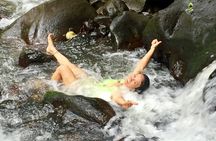 Half-Day Guided Hike to Afareaitu Waterfall