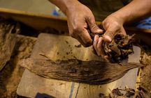 Cigar & Rum Tasting Experience (2 in 1 tour)