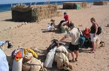 Gulf of Aqaba Snorkeling Tours