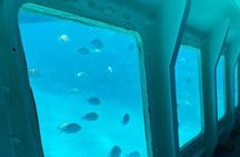 Best of roatan by land and sea 