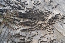 Private tour to Garni Temple, Geghard Monastery (UNESCO) & Symphony of Stones