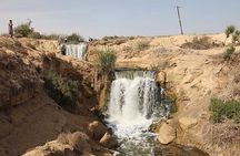 Allinclusive Private Tour Fayoum Oasis & Valley of Wales