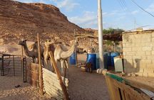 Private Full Day Sinai Desert Adventures