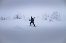 SNOWSHOEING The white walk